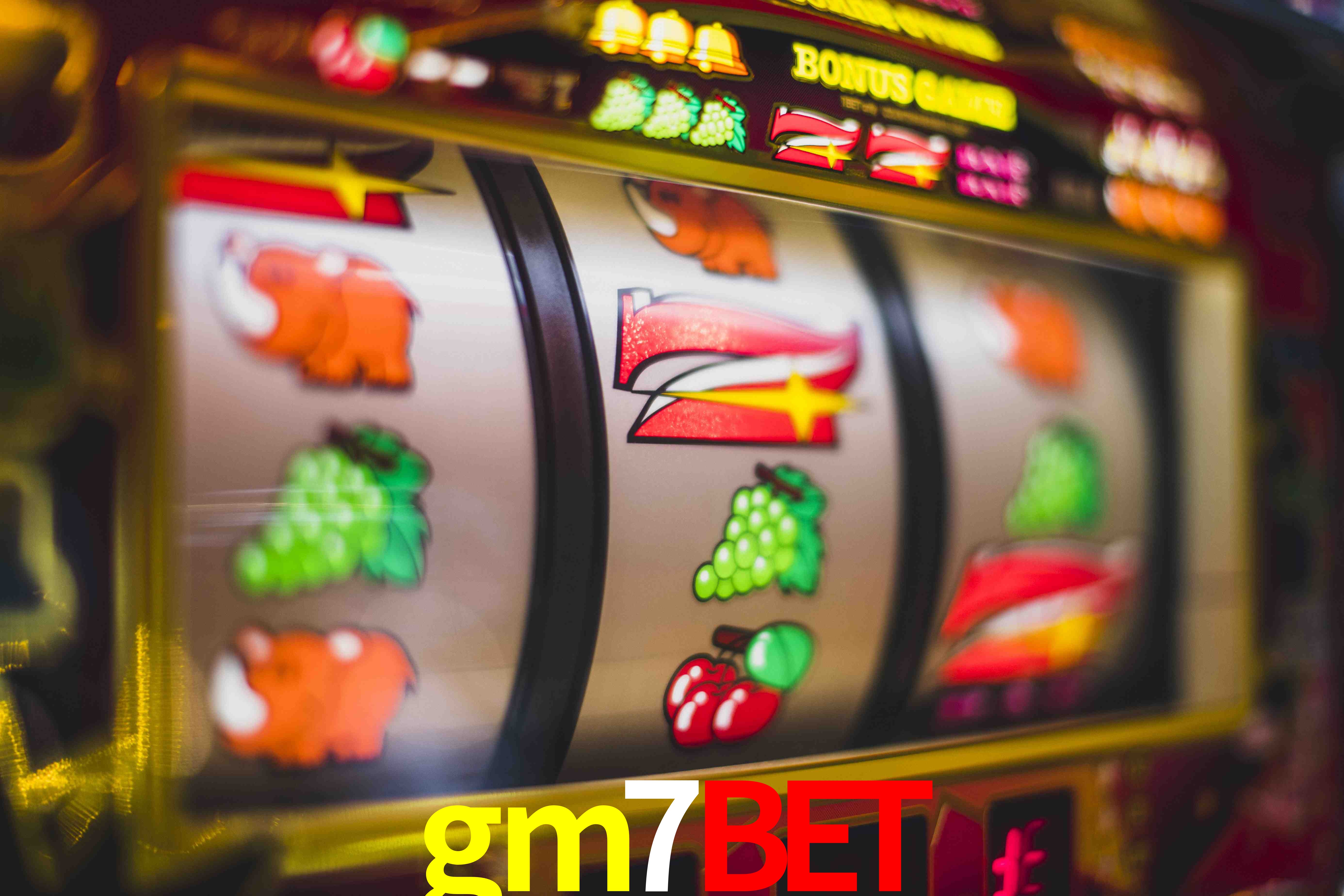 Sports Statistics gm7bet